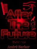 After the Future (eBook, ePUB)