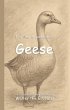 It's Time to Learn about Geese (eBook,... - Bild 1