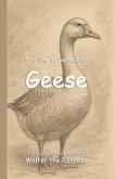 It's Time to Learn about Geese (eBook, ePUB)