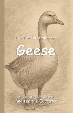 Cover It's Time to Learn about Geese (eBook, ePUB)