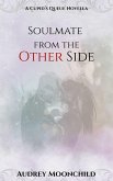 Soulmate from the Other Side (eBook, ePUB)