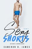 Sexy Shorts: Volume Two: Gay Hookups and Anonymous Quickies (eBook, ePUB)