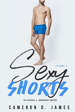 Cover Sexy Shorts: Volume Two: Gay Hookups and Anonymous Quickies (eBook, ePUB)