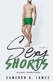 Sexy Shorts: Volume Three: Gay Hookups and Anonymous Quickies (eBook, ePUB)