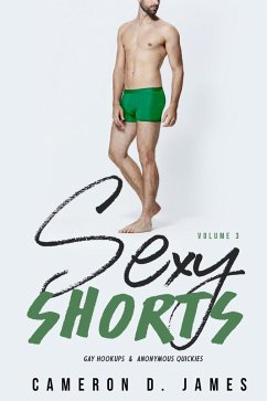 Cover Sexy Shorts: Volume Three: Gay Hookups and Anonymous Quickies (eBook, ePUB)