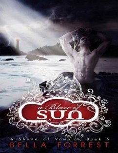 Cover A Blaze of Sun (eBook, ePUB)
