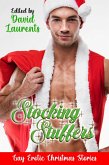 Stocking Stuffers - Gay Erotic Christmas Stories (eBook, ePUB)