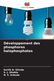Développement des phosphores halophosphates
