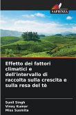 Effetto dei fattori climatici e dell'intervallo di raccolta sulla crescita e sulla resa del tè