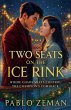 Two Seats on the Ice Rink - Bild 1