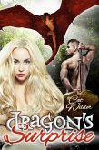 Dragon's Surprise (eBook, ePUB)