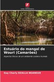 Estuário do mangal de Wouri (Camarões) Estuário do mangal de Wouri (Camarões)