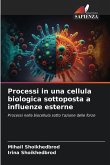Processi in una cellula biologica sottoposta a influenze esterne