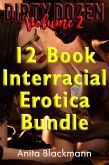 Dirty Dozen: 12 Book Interracial Erotica Bundle, Volume 2 (Interracial Anthologies, #12) (eBook, ePUB)