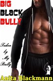 Big Black Bully: Taken By My Bully (eBook, ePUB)
