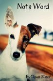 Not a Word (eBook, ePUB)