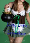 Lusty Little Leprechaun (eBook, ePUB)