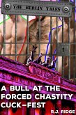 A Bull at the Forced Chastity Cuck-Fest (The Berlin Tales, #4) (eBook, ePUB)