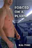 Forced on a Plane (eBook, ePUB)