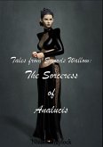 Tales from Swords Wallow: The Sorceress of Analucis (eBook, ePUB)