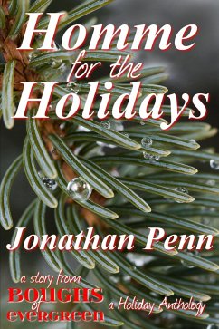 Cover Homme for the Holidays (eBook, ePUB)