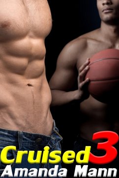 Cover Cruised 3 (eBook, ePUB)