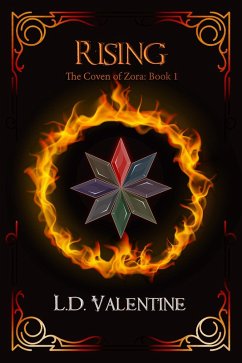 Cover Rising (eBook, ePUB)