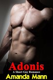 Adonis (eBook, ePUB)