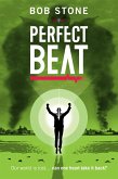 Perfect Beat (eBook, ePUB)