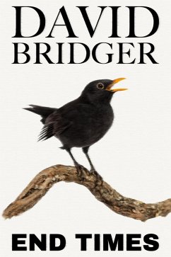 End Times (eBook, ePUB) - Bridger, David