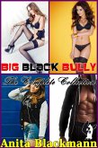 Big Black Bully: The Complete Collection (eBook, ePUB)