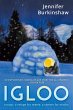 Igloo (eBook, ePUB) - Bild 1