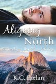 Aligning North (eBook, ePUB)