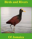 Birds and Rivers of Jamaica (eBook, ePUB)