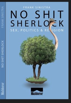 Cover No Shit Sherlock ! (eBook, ePUB)