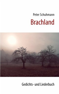 Cover Brachland (eBook, ePUB)