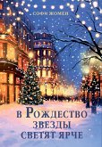 V Rozhdestvo zvezdy svetyat yarche (eBook, ePUB)
