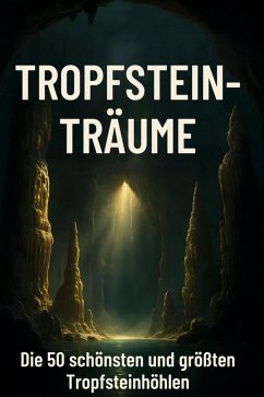 Tropfstein-Träume - Meyer, Lucas