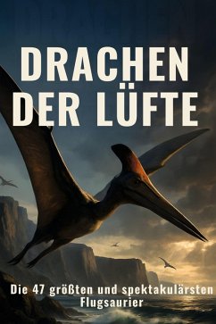 Drachen der Lüfte - Hoffmann, Zoe