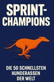 Sprint-Champions