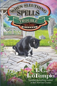 Cover When Sleuthing Spells Trouble