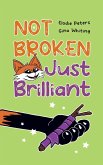 Not Broken, Just Brilliant Not Broken, Just Brilliant