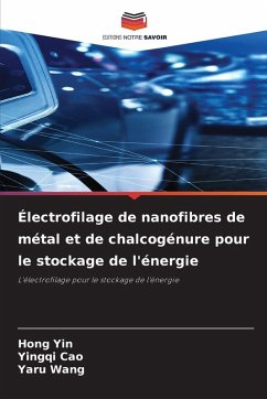 Cover Électrofilage de nanofibres de métal et de chalcogénure pour le stockage de l'énergie