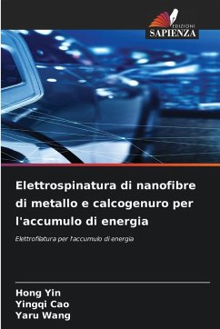 Cover Elettrospinatura di nanofibre di metallo e calcogenuro per l'accumulo di energia