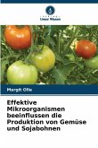 Effektive Mikroorganismen beeinflussen die Produktion von Gemüse und Sojabohnen Effektive Mikroorganismen beeinflussen die Produktion von Gemüse und Sojabohnen