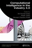 Computational Intelligence in the Industry 4.0