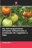 Os microrganismos eficazes influenciam a produção de vegetais e soja