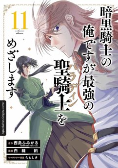 Cover Dark Paladin 11