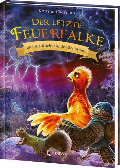 Cover Der letzte Feuerfalke und die Rückkehr des Schattens (Band 12)