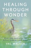 Healing Through Wonder (eBook, PDF)